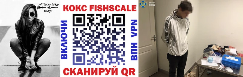 купить наркотики сайты  Приволжск  COCAIN Fish Scale 