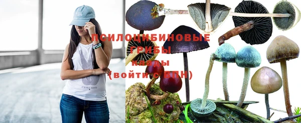 марки nbome Баксан