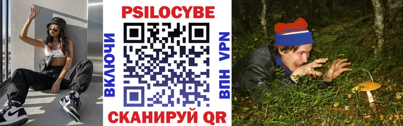 Псилоцибиновые грибы Psilocybe  Приволжск 